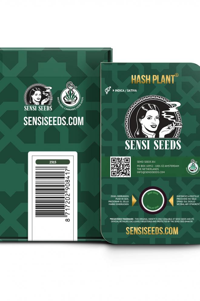 Hash Plant Buy Sensi Seeds Cannabis Seeds