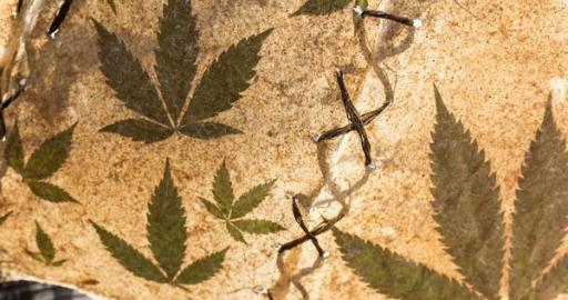 Diverse Uses Of Cannabis Over The Course Of History