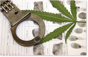 italia legalizzazione cannabis legge