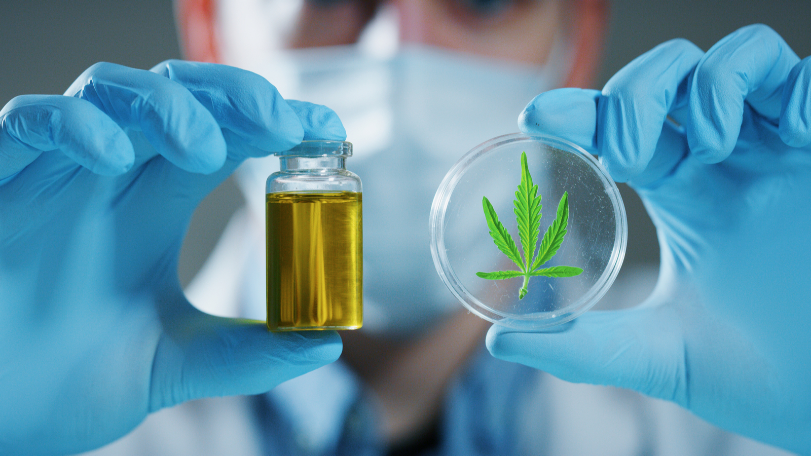 Test salivaire THC Cannabis 15 ng/ml - Fabriqué en France
